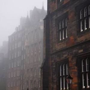 Meet your Posher, Lily